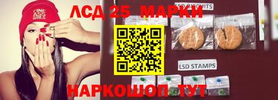 гидропоника Краснодар