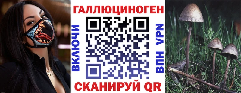 Псилоцибиновые грибы MAGIC MUSHROOMS  цены   Куйбышев 