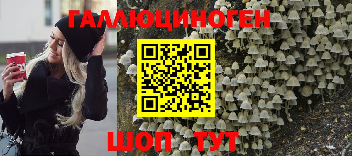 Галлюциногенные грибы прущие грибы Куйбышев