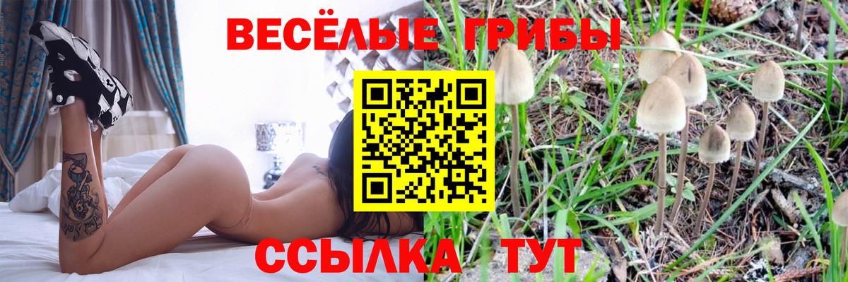 Галлюциногенные грибы ЛСД  Вход с VPN  Галлюциногенные грибы GOLDEN TEACHER  Куйбышев 